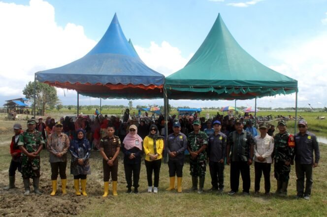 
					Panen Raya Ratusan Hektar Padi di Rokan Baru Pesisir, Bukti Nyata Kehadiran TNI Dalam Program Swasembada Pangan