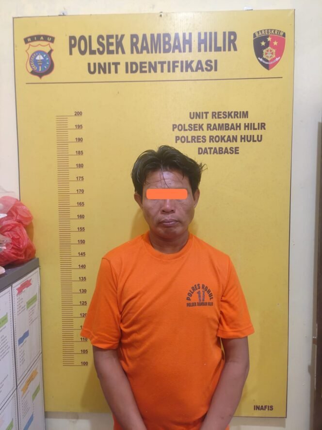 
					Polsek Rambah Hilir Bekuk Pelaku Penggelapan Sepeda Motor, Modus Pinjam Tak Dikembalikan.
