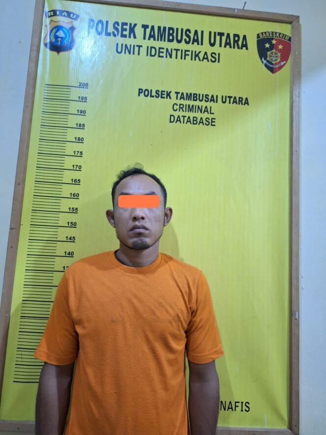 
					Seorang Pria Diamankan Unit Reskrim Polsek Tambusai Utara Terkait Kasus Penadahan Sepeda Motor Hasil Curian