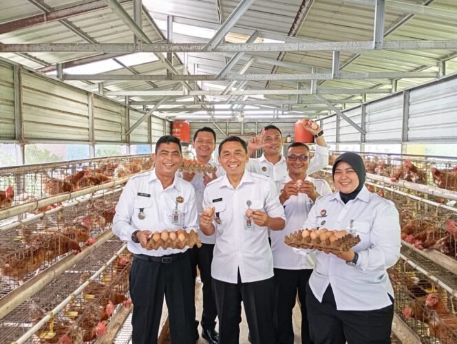 
					Terus Dukung Program Ketahanan Pangan Nasional, Seksi Giatja Lapas Pekanbaru Panen 210 Butir Telur Ayam.