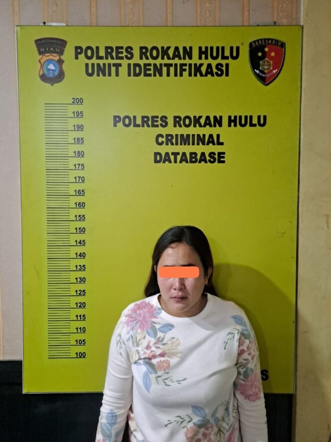 
					Pengungkapan Kasus Pencurian Di Rokan Hulu, Seorang Pelaku Diamankan.