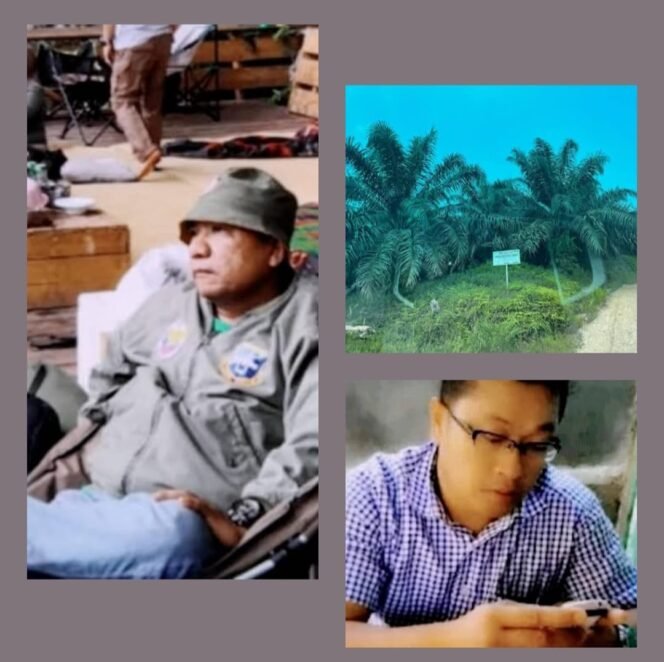 
					Ribuan Hektar Hutan Di Kampar Di Sikat Untuk Sawit Secara Ilegal, Cep Permana Galih Aktivis Riau : “Kami Bersama Masyarakat Akan Unjuk Rasa Besar-besaran Dan Berjilid-jilid.”