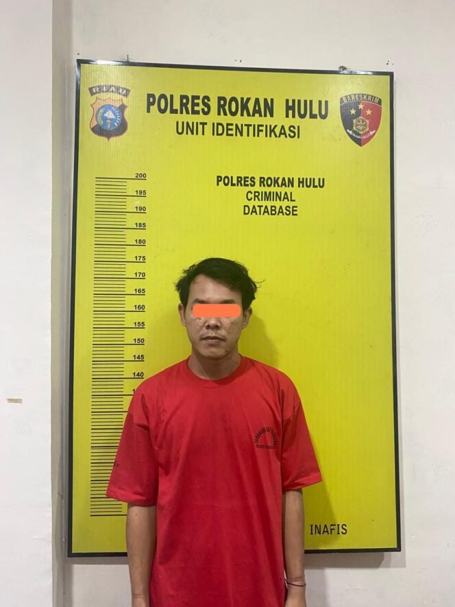 
					Sat Resnarkoba Polres Rokan Hulu Tangkap Pengedar Sabu di Kebun Sawit