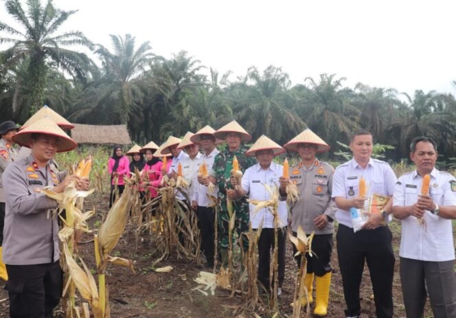 
					Lapas Pasir Pangaraian dan Polres Rohul Kolaborasi Sukseskan Panen Raya Jagung