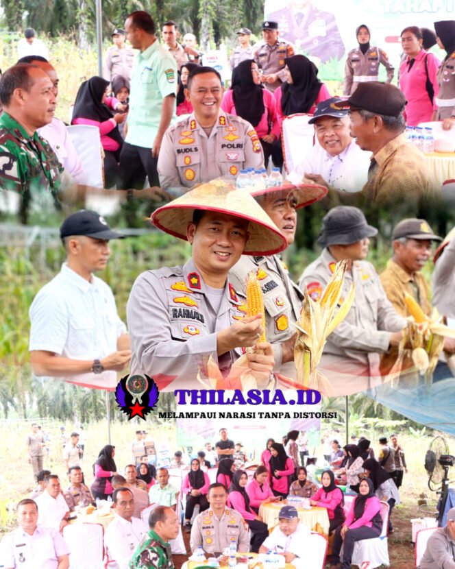 
					Panen Raya Jagung di Rokan Hulu: Langkah Nyata Wujudkan Swasembada Pangan