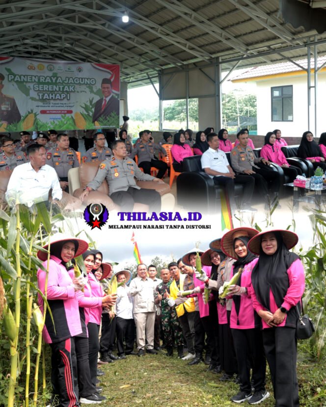 
					Polres Kuansing Ikuti Panen Raya Jagung Serentak, Dukung Ketahanan Pangan Nasional.
