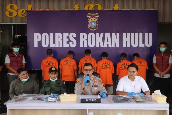 
					Polres Rokan Hulu Ungkap Pembunuhan Harimau Sumatera, Enam Pelaku Diamankan.