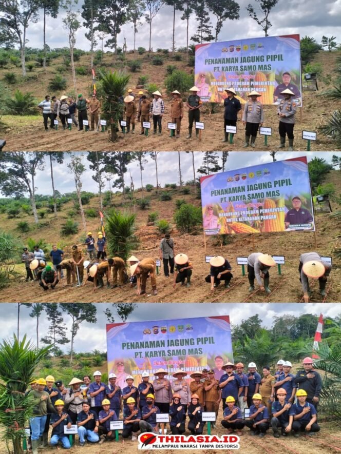 
					Kolaborasi untuk Ketahanan Pangan: PT. KSM Tanam Jagung Pipil di Desa Teluk Aur