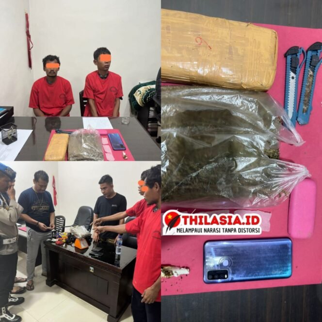 
					Satresnarkoba Polres Rohul Tangkap Dua Pengedar dan Sita 950 Gram Ganja di Kebun Sawit.