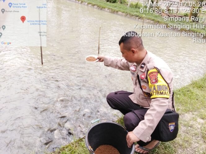 
					Polsek Singingi Hilir Cek Pekarangan Percontohan Tanaman Bergizi, Perikanan, dan Peternakan di Desa Simpang Raya untuk Dukung Program ASTA CITA Presiden RI