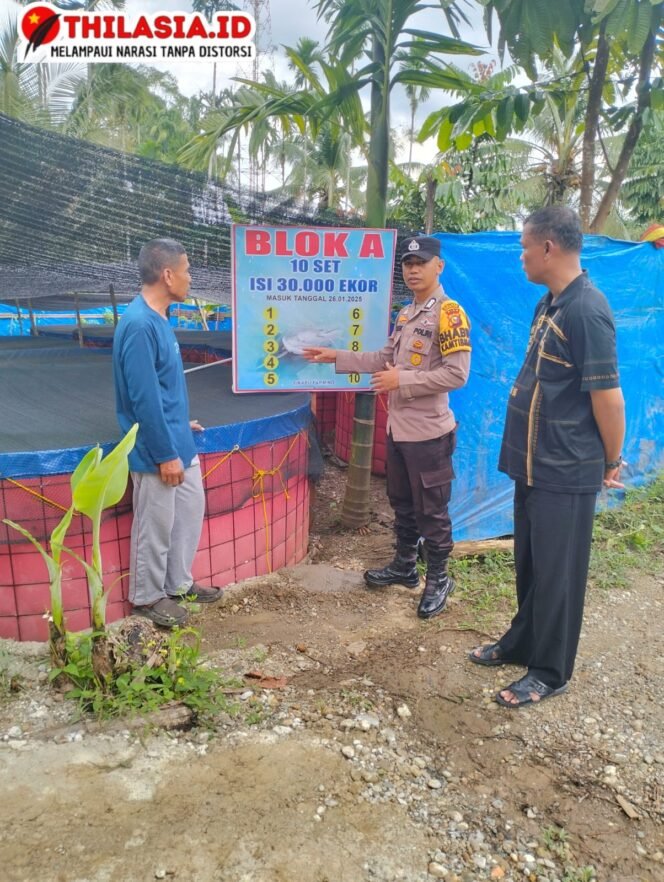 
					Bhabinkamtibmas Desa Koto Tinggi Dukung Program Ketahanan Pangan Presiden RI: Sambangi Dan Cek Kolam Ikan Lele