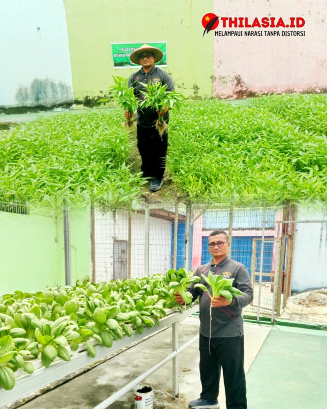 
					Lapas Pekanbaru Produktif: Panen Kangkung dan Pakcoy Perkuat Ketahanan Pangan
