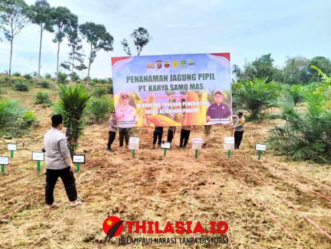 
					Polsek Rambah Samo Bersinergi dengan PT. KSM, Siapkan Lahan untuk Ketahanan Pangan.
