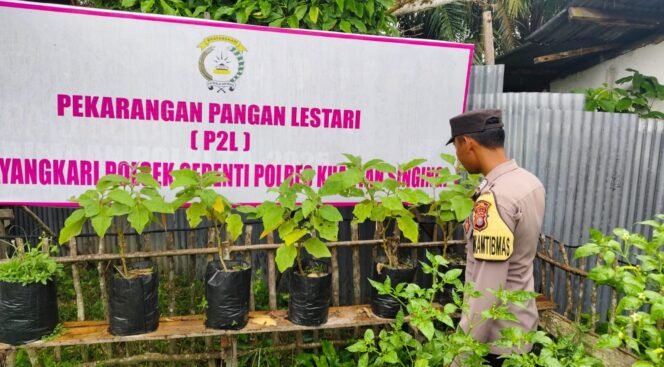 
					Polsek Cerenti Laksanakan Pengecekan Pekarangan Percontohan Guna Dukung Program ASTA CITA Presiden RI