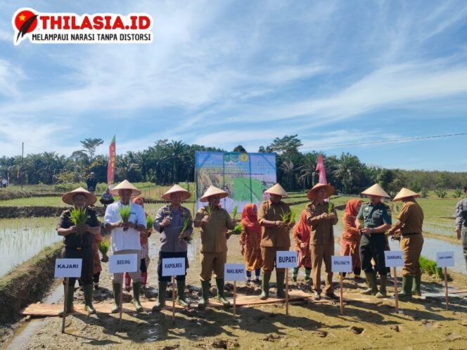
					Wakapolres Rokan Hulu Hadiri Giat Tanam Padi Bersama Dan Serah Terima Bantuan Pertanian Di Desa Pasir Maju