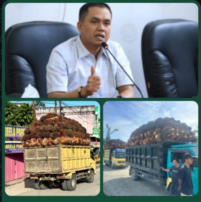 
					Wakil Ketua DPRD Rohul Nono Patria Pratama Minta Pemerintah Lakukan Penertiban Dan Pengawasan Kenderaan ODOL