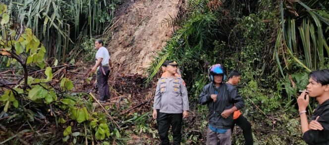 
					Polsek Singingi Tinjau Lokasi Longsor di Jalan Lintas Pekanbaru–Taluk Kuantan, Koordinasi Penanganan Terus Dilakukan.