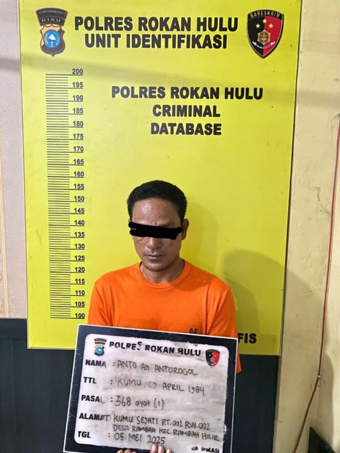 
					Lakukan Pemerasan Terhadap Supir di Simpang Kuari, Polres Rohul Amankan Preman Kumu Sejati.