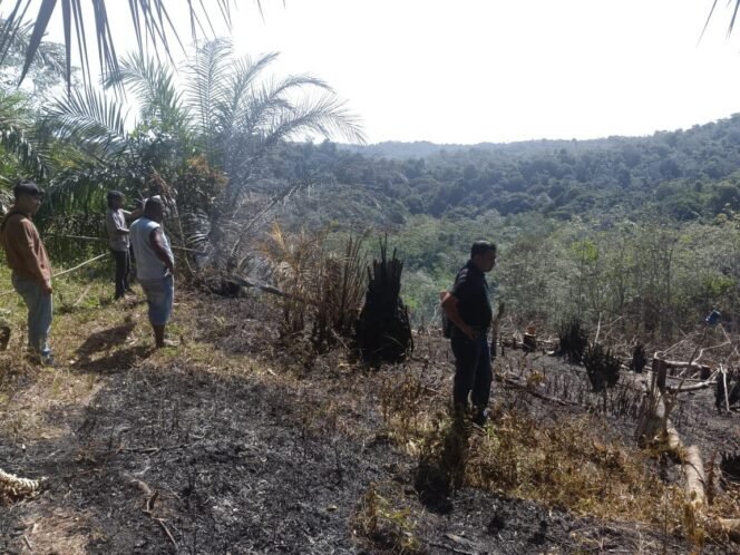 
					Polres Kuantan Singingi Ungkap Kasus Kebakaran Lahan di Kawasan Hutan Lindung Bukit Betabuh