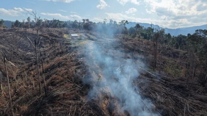 
					Polres Rohul Tangkap Pelaku Pembakaran Lahan di Hutan Produksi Terbatas (HPT) Tanjung Medan.