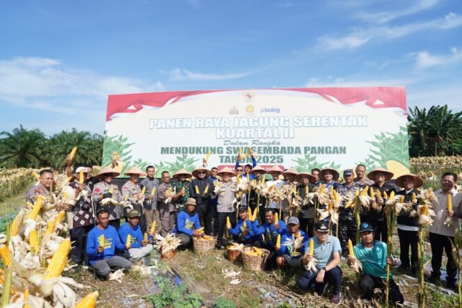 
					Panen Jagung Serentak di Lahan Polresta Pekanbaru Hasilkan 12 Ton Jagung Pipil