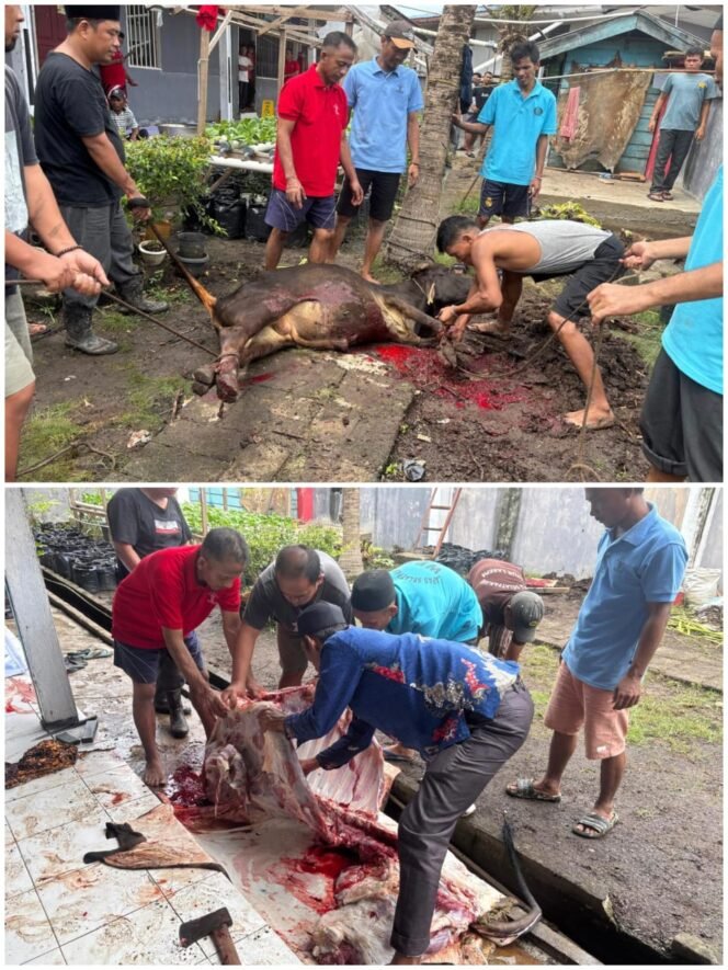 
					Sambut Idul Adha 1446 Hijriah, Lapas Selatpanjang Laksanakan Pemnyembelihan Hewan Kurban.