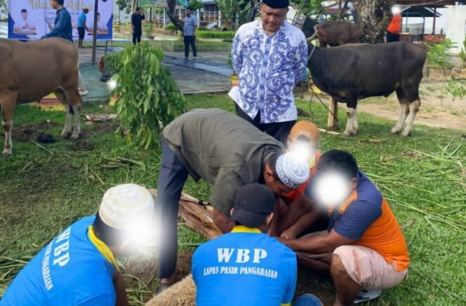 
					Semangat Kurban, Lapas Pasir Pangaraian Sembelih 18 Hewan dan Tebar Daging untuk Warga dan Masyarakat.