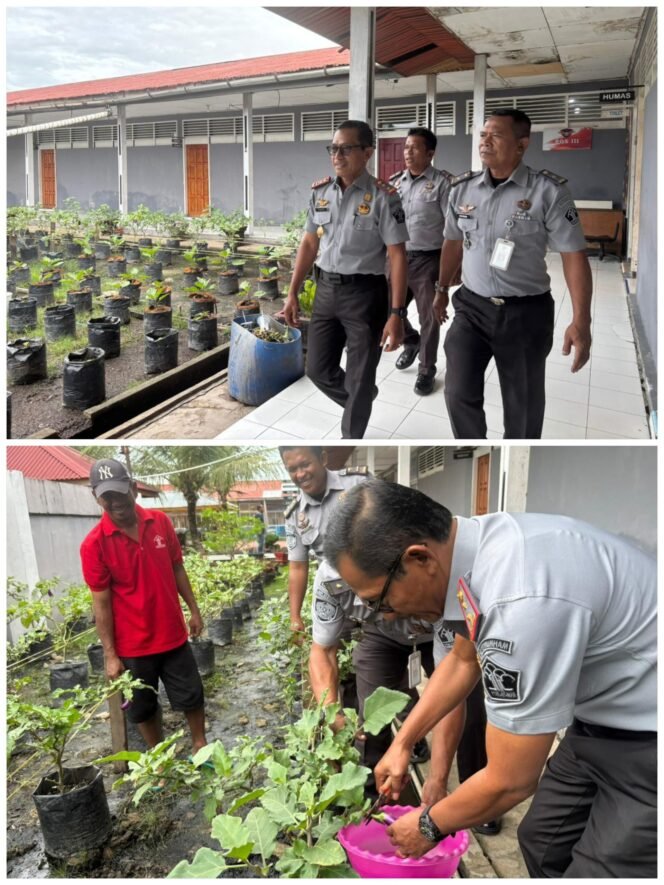 
					Wujudkan Program Menteri Imigrasi dan Pemasyarakatan, Kalapas Tinjau Kegiatan Ketahanan Pangan di Area Bimker Lapas.