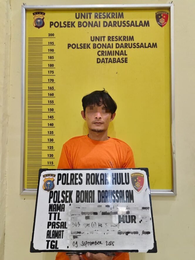 
					Tak Kapok, Residivis Pencuri Sawit di Bonai Darussalam Kembali Dibekuk Polisi.