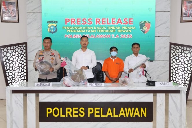 
					Polres Pelalawan Bongkar Perdagangan Daging Anjing, Pelaku GA Ditangkap.
