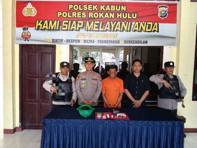 
					Polsek Kabun Bekuk Bandar Ganja, 11,79 Gram Barang Bukti Disita.