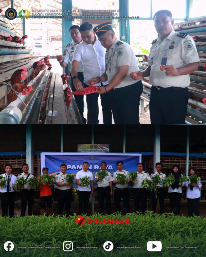 
					Panen Raya Nasional Kemenimipas, Lapas Pasir Pangarayan Petik Hasil Pembinaan Sayur dan Telur Ayam