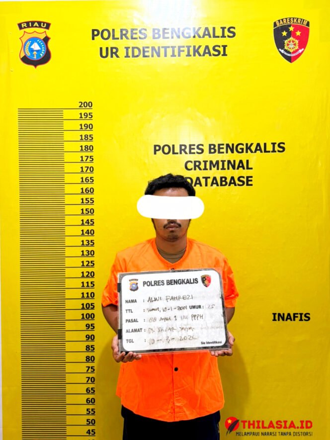 
					Illegal Logging di Siak Kecil Terungkap, Polres Bengkalis Amankan Pelaku dan Truk Bermuatan Kayu