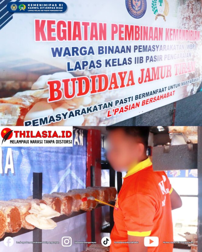 
					Bekali Warga Binaan Keterampilan Usaha, Lapas Pasir Pangarayan Kembangkan Budidaya Jamur Tiram