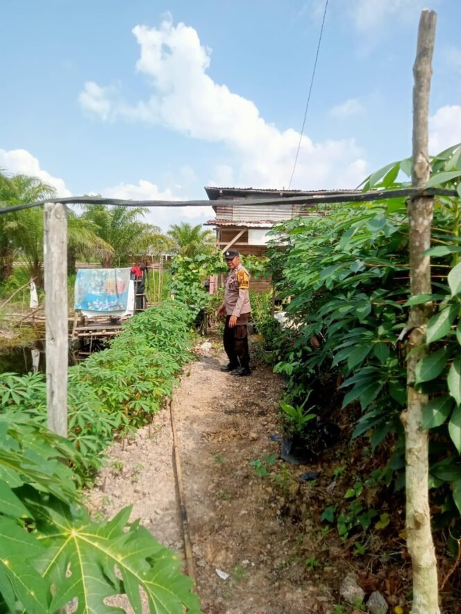 
					Bhabinkamtibmas Air Hitam Sambangi Petani Daun Ubi, Dukung Program Ketahanan Pangan Nasional