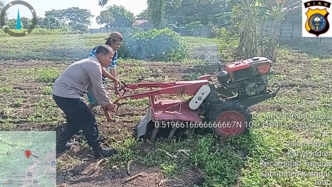 
					Bhabinkamtibmas Polsek Payung Sekaki Kawal Progres Lahan Jagung, Program Ketahanan Pangan Kian Matang