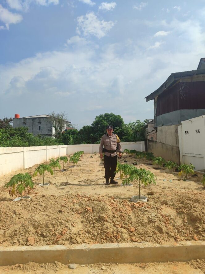 
					Dukung Ketahanan Pangan Nasional, Bhabinkamtibmas Labuhbaru Barat Sambangi Petani Binaan