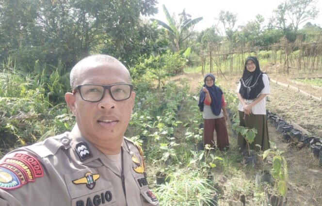 
					Bhabinkamtibmas Tirta Siak Perkuat Ketahanan Pangan Nasional Lewat Pendampingan Petani di Wilayah Binaan