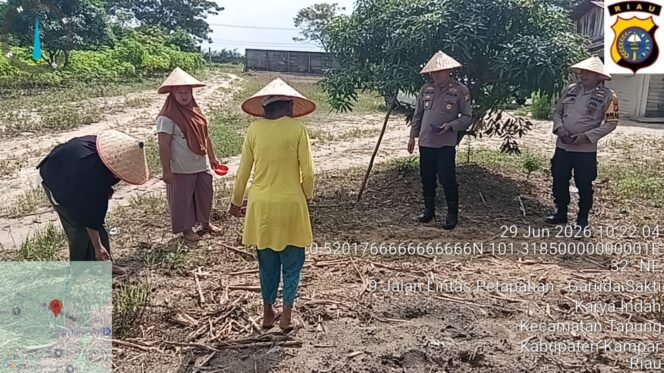
					Kapolsek Payung Sekaki Pimpin Penanaman Jagung Pipil Dukung Ketahanan Pangan Nasional