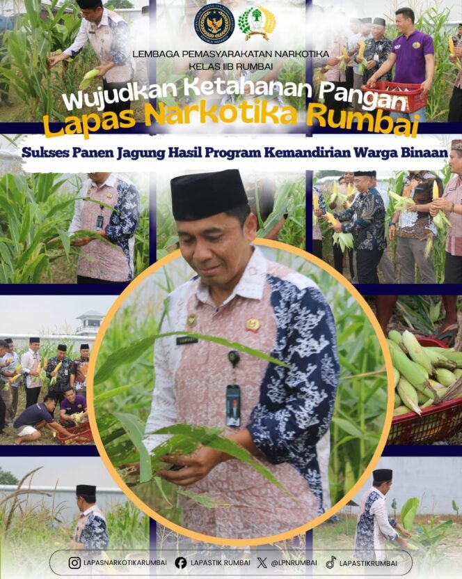 
Wujudkan Ketahanan Pangan Lapas Narkotika Rumbai Sukses Panen Jagung Hasil Program Kemandirian Warga binaan