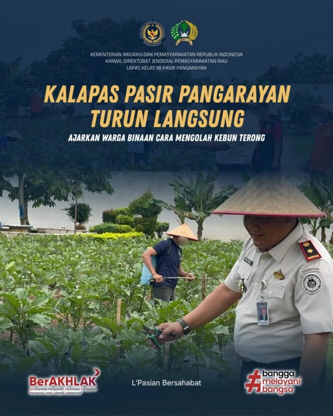 
Kalapas Pasir Pangarayan Turun Langsung, Ajarkan Warga Binaan Cara Mengolah Kebun Terong
